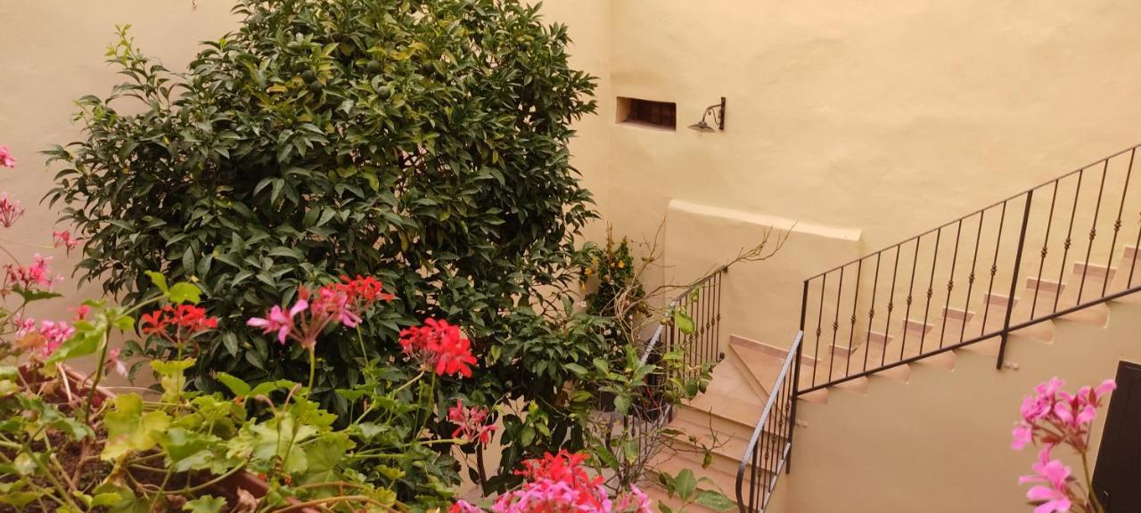 Domo Antiga Guest Rooms Сорсо Экстерьер фото