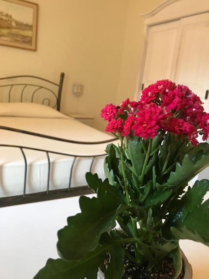 Domo Antiga Guest Rooms Сорсо Экстерьер фото