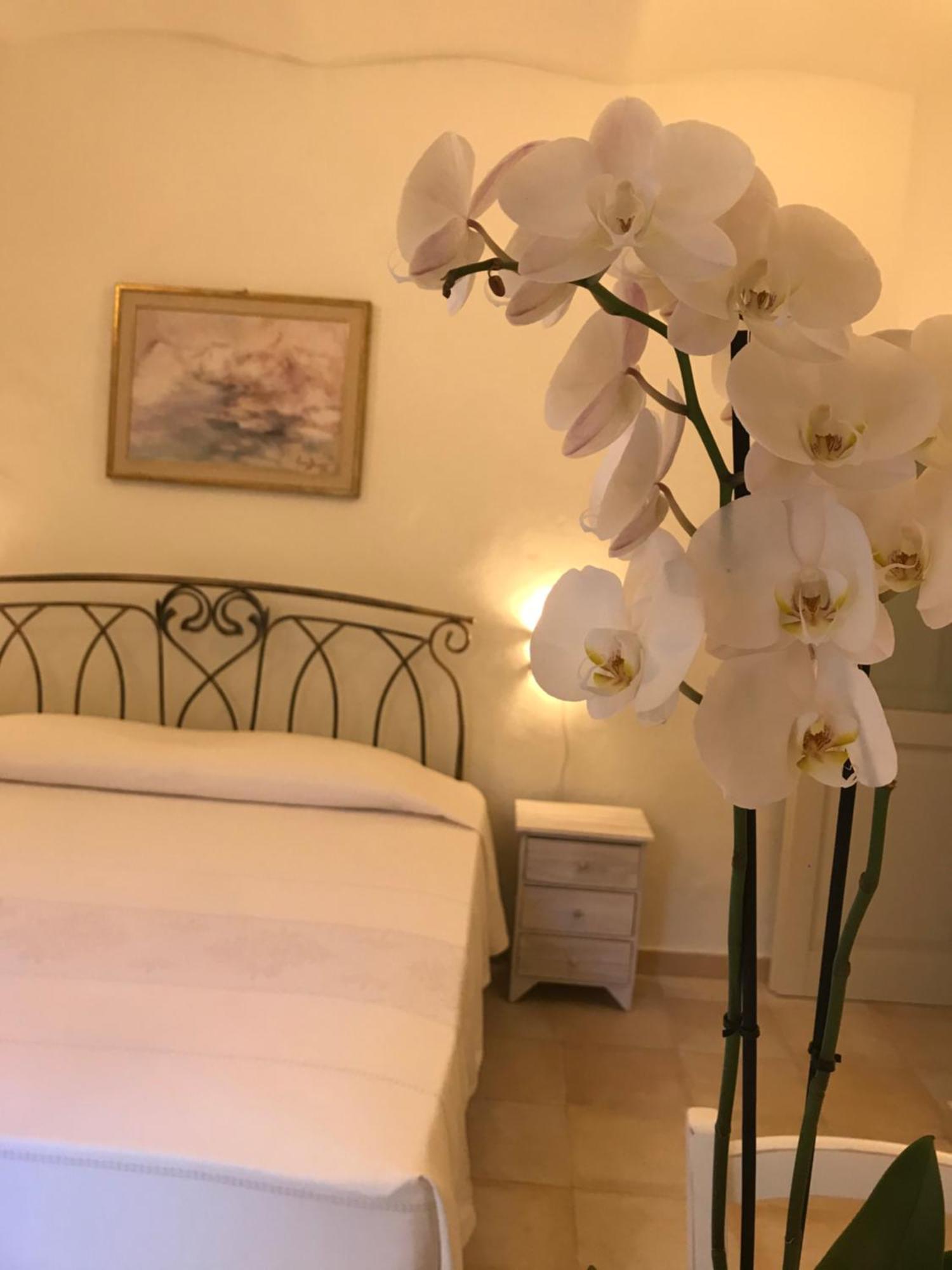 Domo Antiga Guest Rooms Сорсо Экстерьер фото
